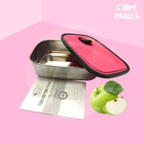 Rectangle Stainless Steel Lunch Box (Medium) for Kids and Office - High Quality Food Container